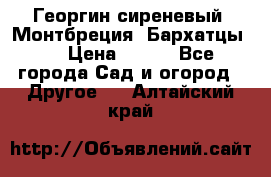 Георгин сиреневый. Монтбреция. Бархатцы.  › Цена ­ 100 - Все города Сад и огород » Другое   . Алтайский край